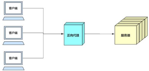 网络基础中的其他重要协议与技术 DNS、ICMP、NAT与网络技术服务